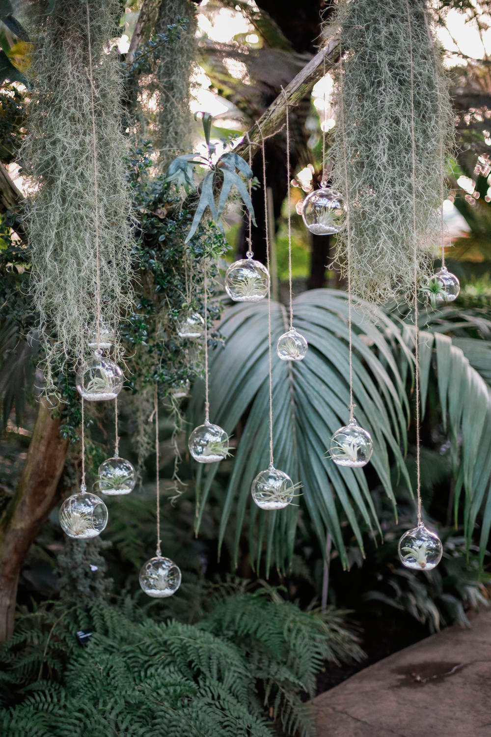Greenhouse wedding hanging air plant display
