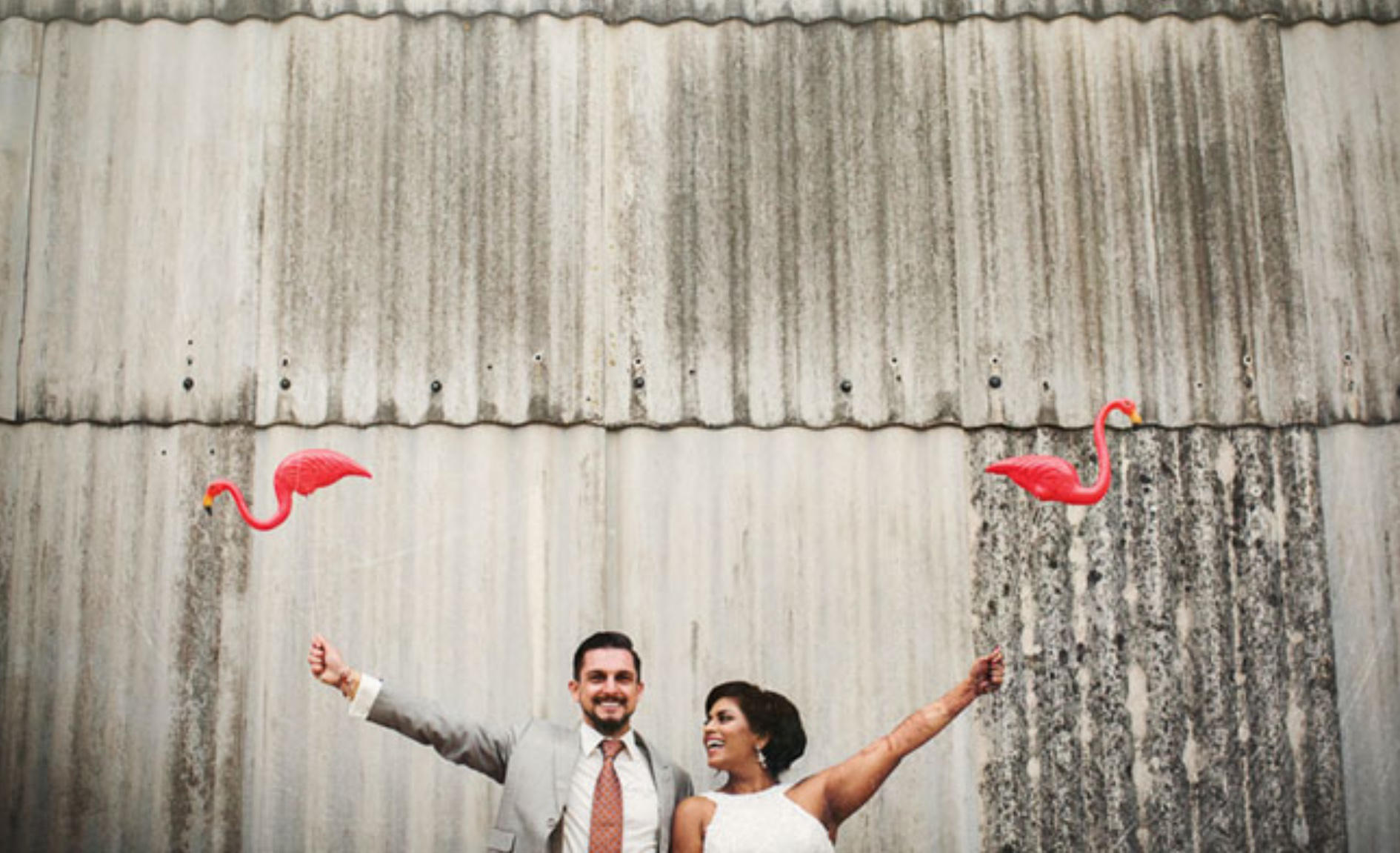 flamingo fever bride and groom