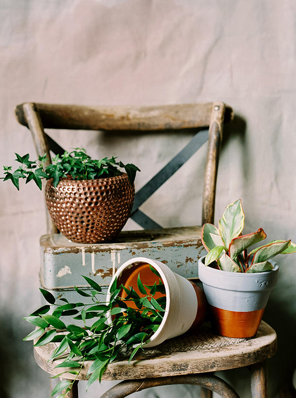 Urban Boho Wedding plant display idea