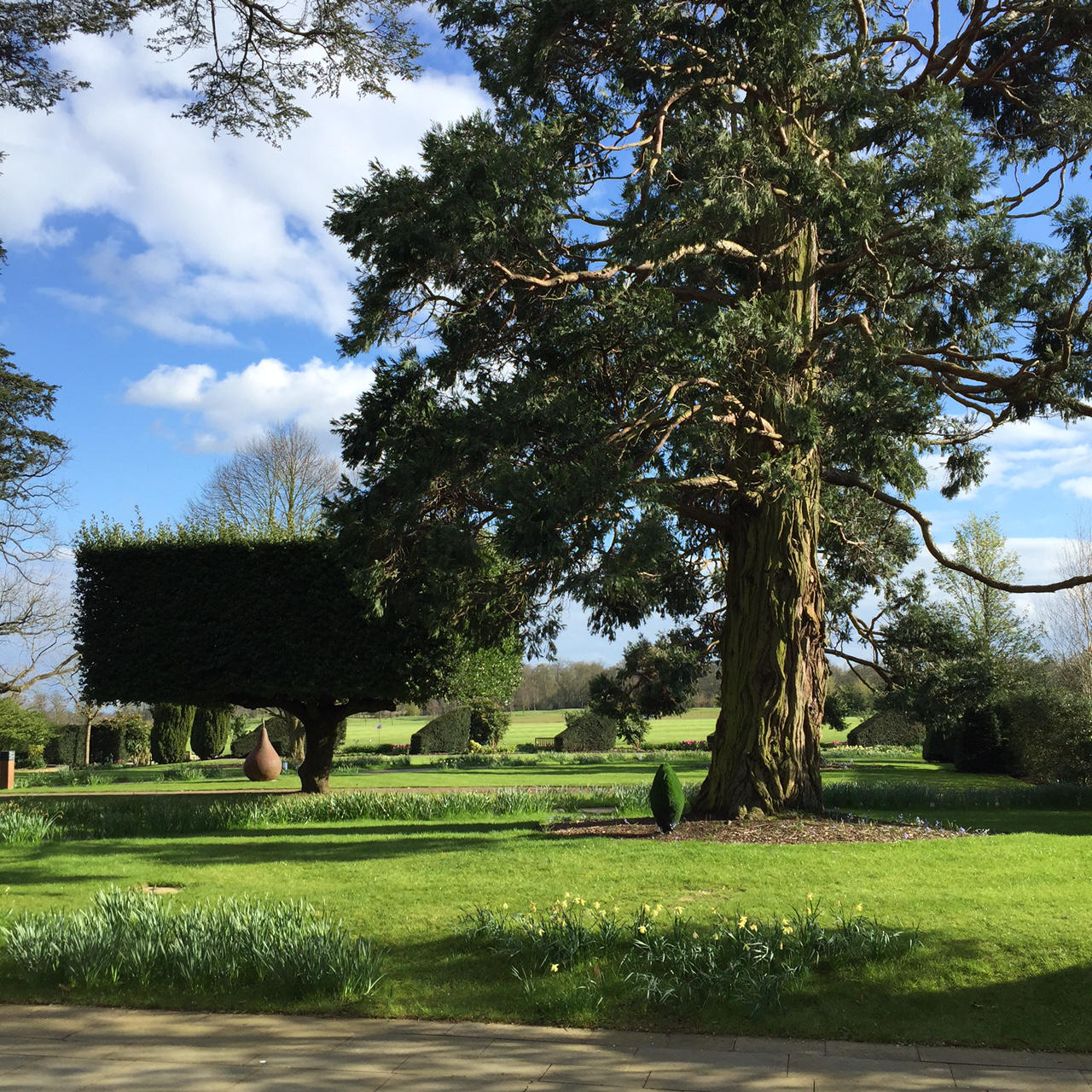 The Grove Hotel Garden View