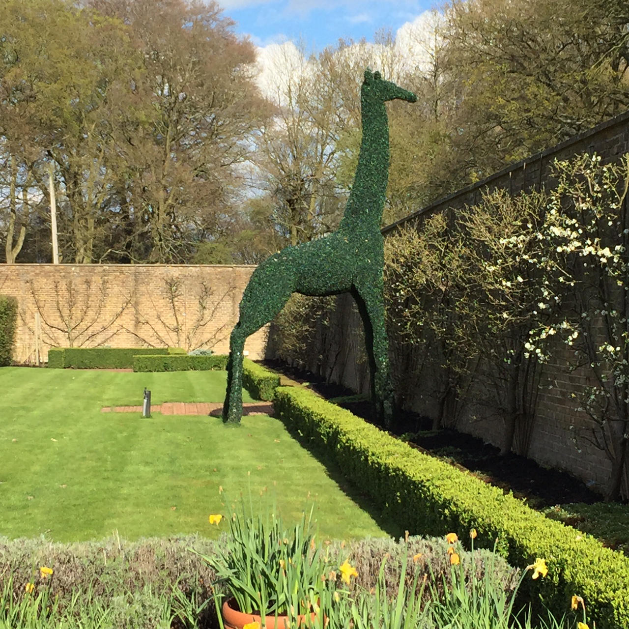 The Grove Hotel Topiary