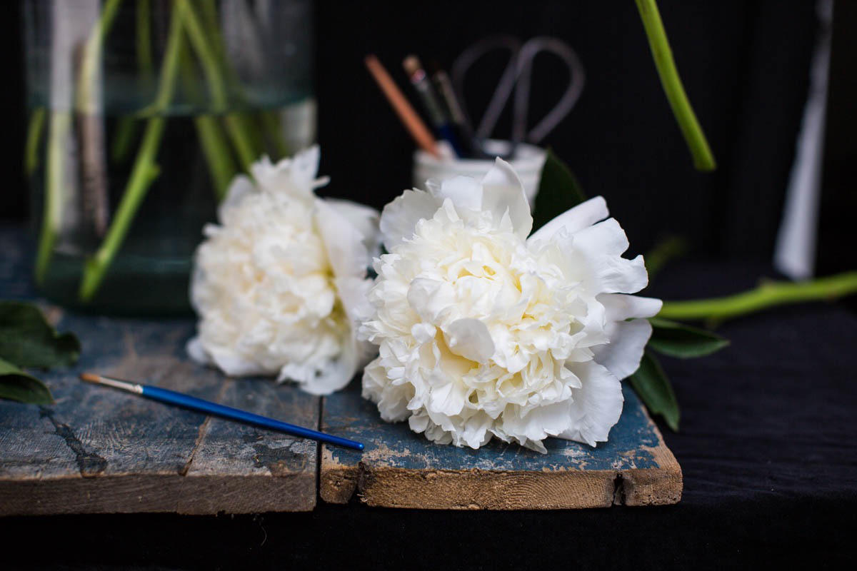 Myrtle and smith white peonies