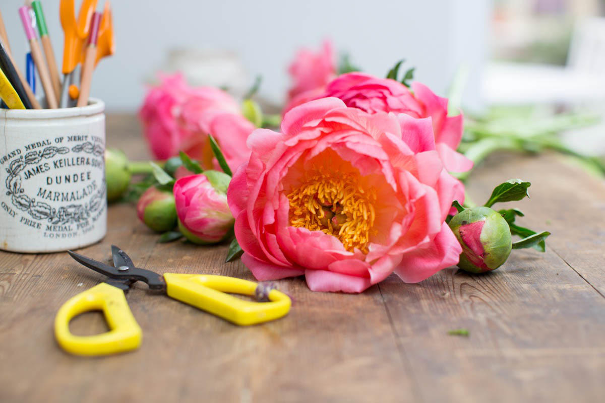 Myrtle & Smith wedding peony blooms