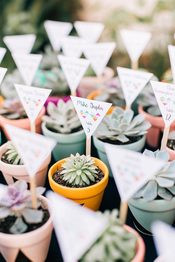 wedding succulents place name cards
