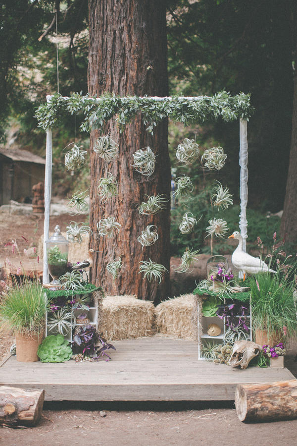 wedding succulents airplant display styling