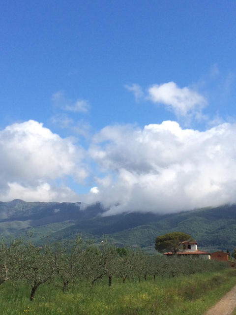 Il Borro Tuscany Olive Groves Wedding