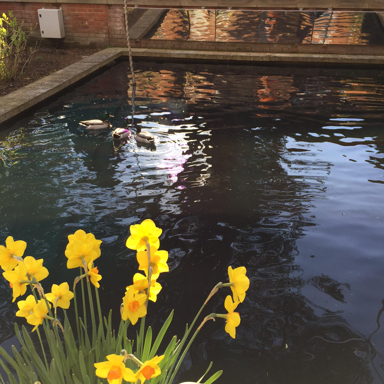 The Grove Hotel Water Gardens